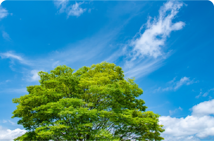 特徴のイメージ画像