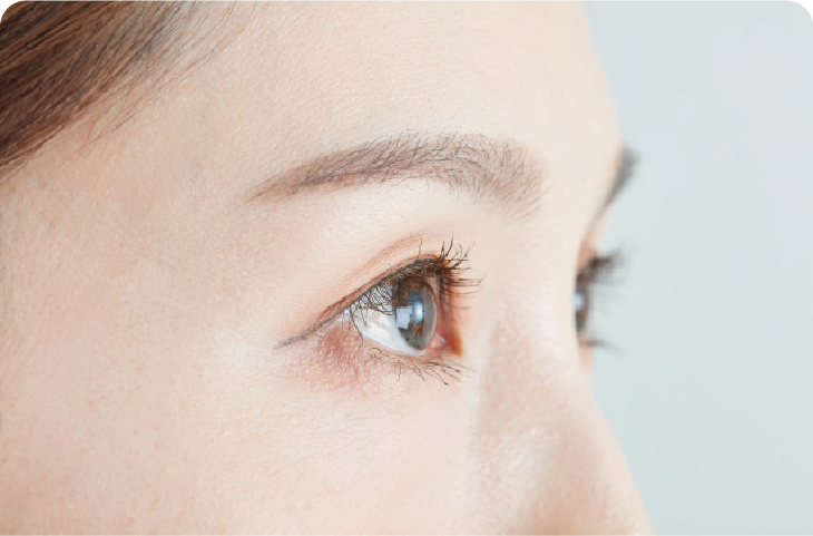 特徴のイメージ画像